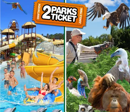 2PT Aqualand Costa Adeje